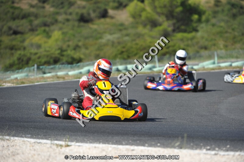 DSC (2552).JPG